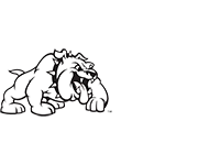 Bully Dog 200x150
